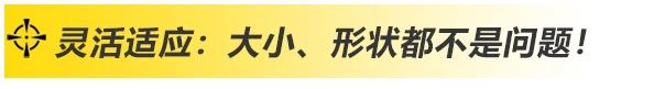 上海xk星空官网